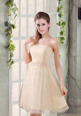 Strapless Appliques 2015 New Dama Dress in Champagne