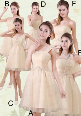 Sweetheart A Line Appliques Champagne Dama Dress for 2015