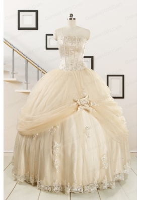 Elegant Appliques 2015 Champagne Quinceanera Dress with Wraps