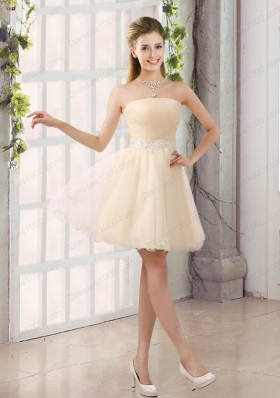 2015 Perfect A Line Organza Prom Dress with Mini Length