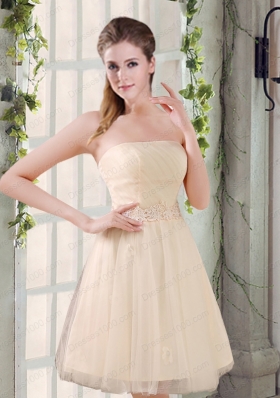 Strapless Appliques 2015 New Prom Dress in Champagne