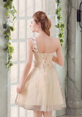 Popular A Line Appliques Prom Dress with One Shoulder