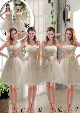 2015 Princess One Shoulder Bowknot Lace Mother of the Bride Dresses in Champagne