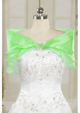 Elegant Ball Gown Sweet 16 Dresses in Multi Color for 2015