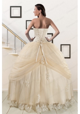 Fashionable Appliques 2015 Champagne Quinceanera Dress with Wraps