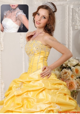 Elegant Ball Gown Court Train Appliques and Beading Quinceanera Dresses