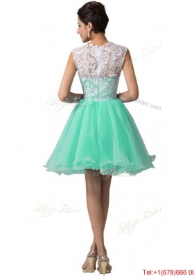 Elegant Laced Scoop A Line Prom Dresses in Apple Green for 2016