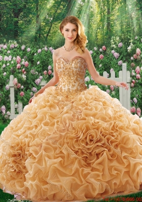 Elegant Brush Train Appliques Quinceanera Dresses for 16 Brithday Party