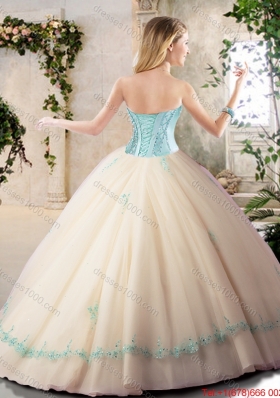 Beautiful Sweetheart Quinceanera Dresses with Appliques