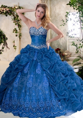 Luxurious Brush Train Quinceanera Dresses with Pick Ups and Embroidery