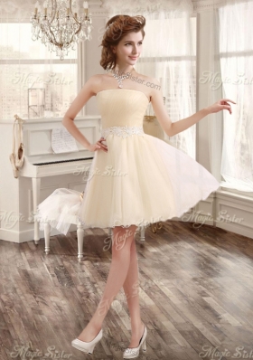 Classical Applique and Ruffled Champagne Sweet 16 Dress and Short Dama Dresses