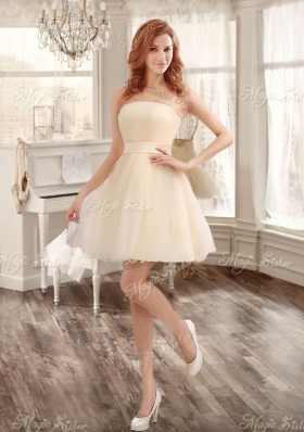 Classical Applique and Ruffled Champagne Sweet 16 Dress and Short Dama Dresses