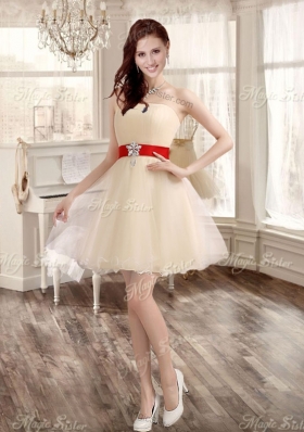 Classical Applique and Ruffled Champagne Sweet 16 Dress and Short Dama Dresses