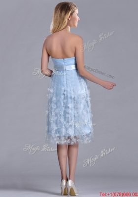 Gorgeous Empire Tea Length Applique Tulle Dama Dress in Light Blue