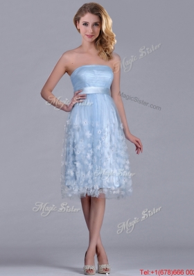 Gorgeous Empire Tea Length Applique Tulle Dama Dress in Light Blue