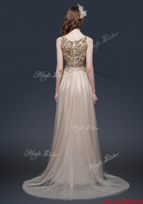 Luxurious Brush Train Prom Dresses with Appliques and Bowknot