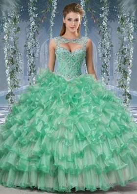 Lovely Big Puffy Quinceanera Dress with Beading and Ruffles