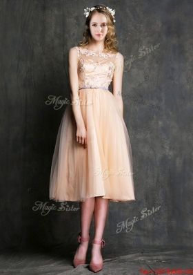 Romantic Laced and Sashed Scoop Dama Dress in Peach