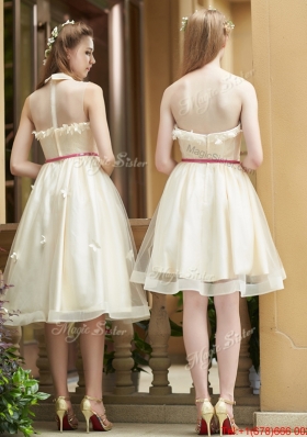 2016 Best Selling Champagne Organza Bridesmaid Dress with Appliques and Sashes