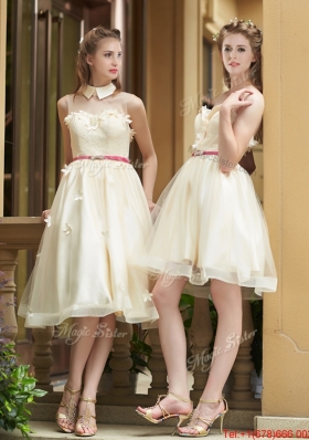 2016 Best Selling Champagne Organza Bridesmaid Dress with Appliques and Sashes