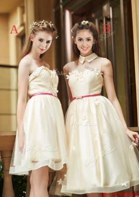 2016 Best Selling Champagne Organza Bridesmaid Dress with Appliques and Sashes