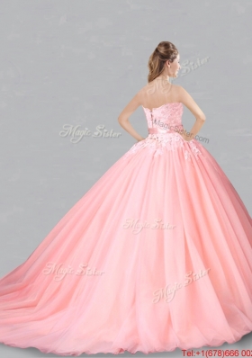 Perfect Court Train Belted and Applique Baby Pink Quinceanera Dress for Spring