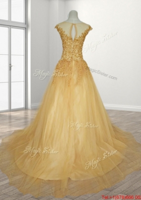 Romantic A Line Brush Train Quinceanera Gown with See Through Scoop