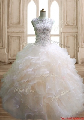 Wonderful Beaded and Ruffled Champagne Quinceanera Dress in Organza