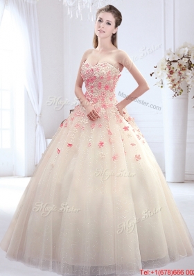 Simple Applique Decorated Skirt Wedding Dress with Sweetheart