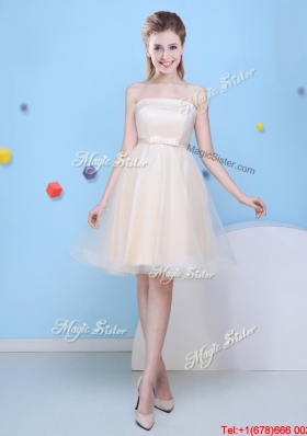 2017 Pretty Mini Length A Line Strapless Dama Dress with Bowknot