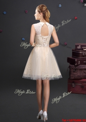 Popular Applique and Laced Short Prom Dress with Turndown