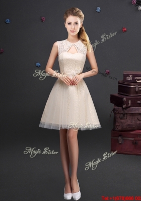 Popular Applique and Laced Short Prom Dress with Turndown