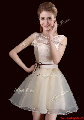 Wonderful See Through Organza Champagne Prom Dress with Lace and Belt