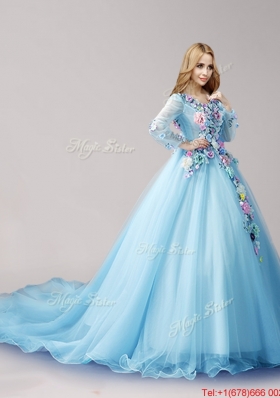 Classical V Neck Long Sleeves Baby Blue Quinceanera Dresses with Hand Made Flowers