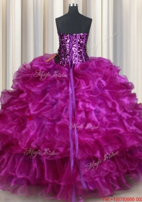 Visible Boning Beaded and Sequined Organza Purple Quinceanera Dress with Ruffles