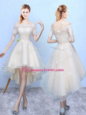 Organza Sleeveless High Low Quinceanera Dama Dress and Appliques