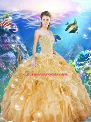 Organza Sleeveless Floor Length 15th Birthday Dress and Beading and Ruffles