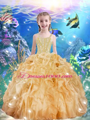 Organza Sleeveless Floor Length 15th Birthday Dress and Beading and Ruffles