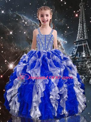 Elegant Ball Gowns Sweet 16 Dresses Multi-color Sweetheart Organza Sleeveless Floor Length Lace Up