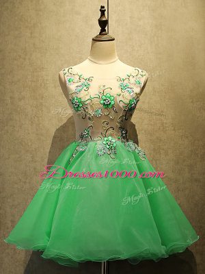 Best Selling Green A-line Organza Scoop Sleeveless Embroidery Mini Length Lace Up Prom Dress