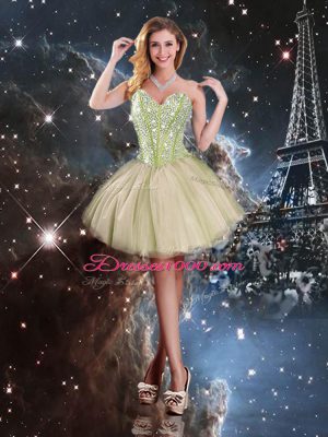 Popular Floor Length Ball Gowns Sleeveless Multi-color Sweet 16 Quinceanera Dress Lace Up