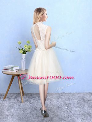 Deluxe Knee Length Champagne Quinceanera Dama Dress Tulle Sleeveless Lace