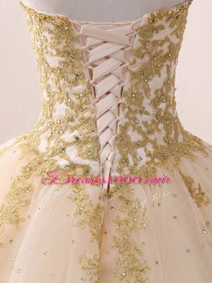 Ball Gowns Quinceanera Dress Champagne Sweetheart Tulle Sleeveless Floor Length Lace Up