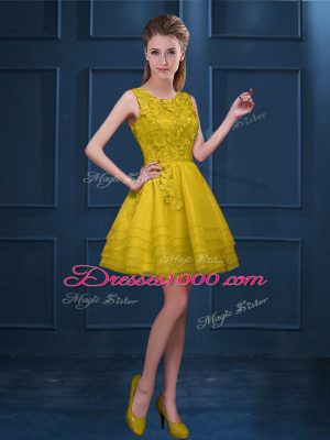 Luxurious Sleeveless Lace and Ruffled Layers Zipper Dama Dress