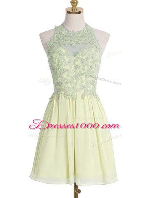 Suitable Sleeveless Lace Up Knee Length Appliques Wedding Guest Dresses