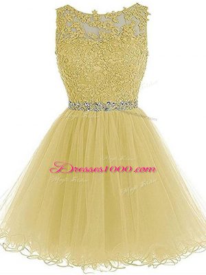 Customized Tulle Sleeveless Mini Length Homecoming Dress and Beading and Lace and Appliques