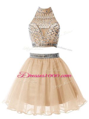 Champagne A-line Beading Quinceanera Court of Honor Dress Zipper Organza Sleeveless Knee Length