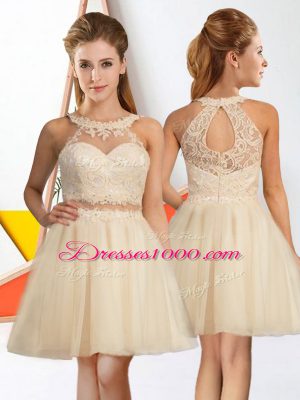 Sexy Champagne Zipper Halter Top Lace Quinceanera Dama Dress Tulle Sleeveless