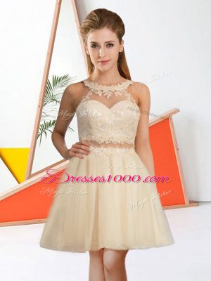 Sexy Champagne Zipper Halter Top Lace Quinceanera Dama Dress Tulle Sleeveless