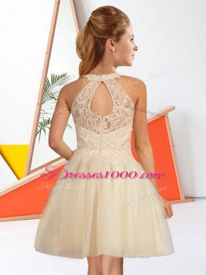 Sexy Champagne Zipper Halter Top Lace Quinceanera Dama Dress Tulle Sleeveless